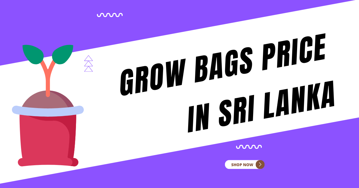 Grow Bags Price in Sri Lanka Coco Peat Grow Bags Price