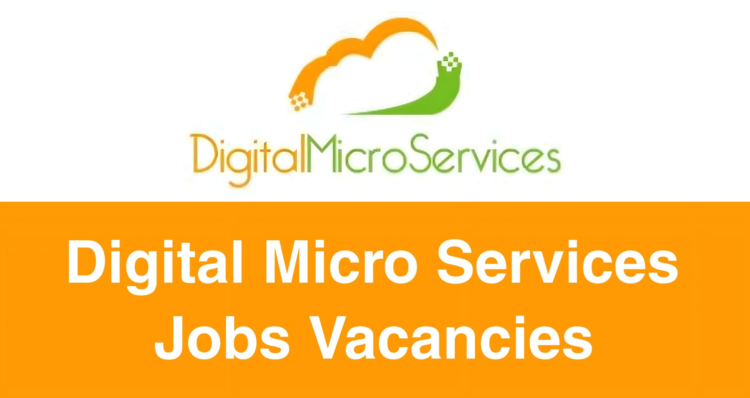 Solution Architect Job Vacancy at Digital Micro Services Sri Lanka